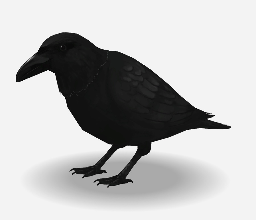 その他生き物系 4